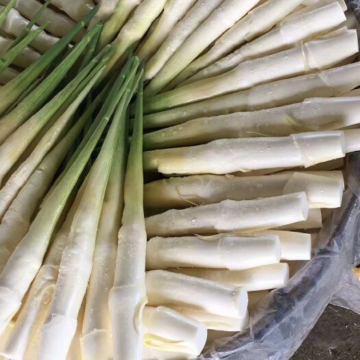 江阴市茭白自产自销，质量保证，量大从优！！！
