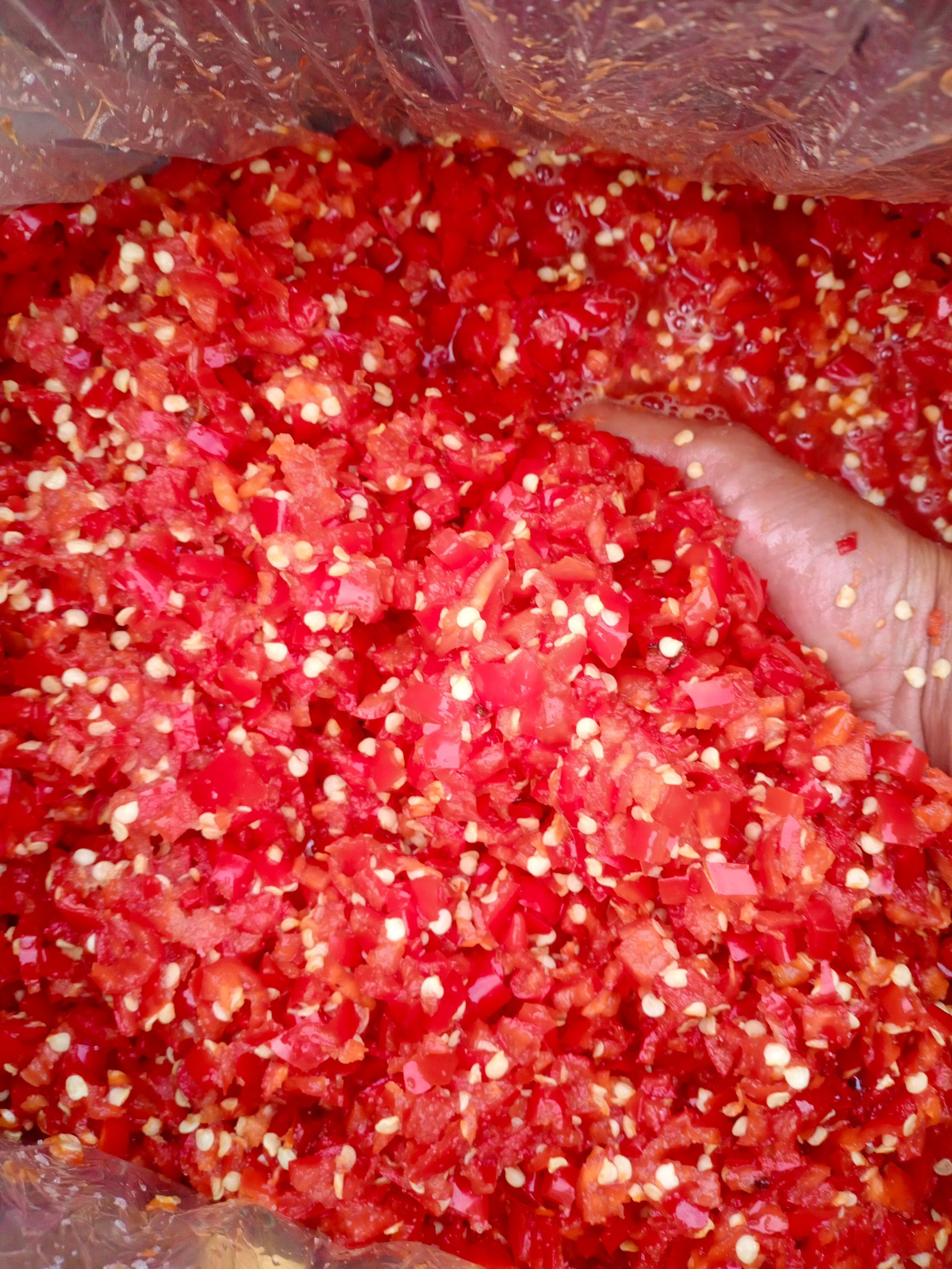 美人椒剁椒加工销售