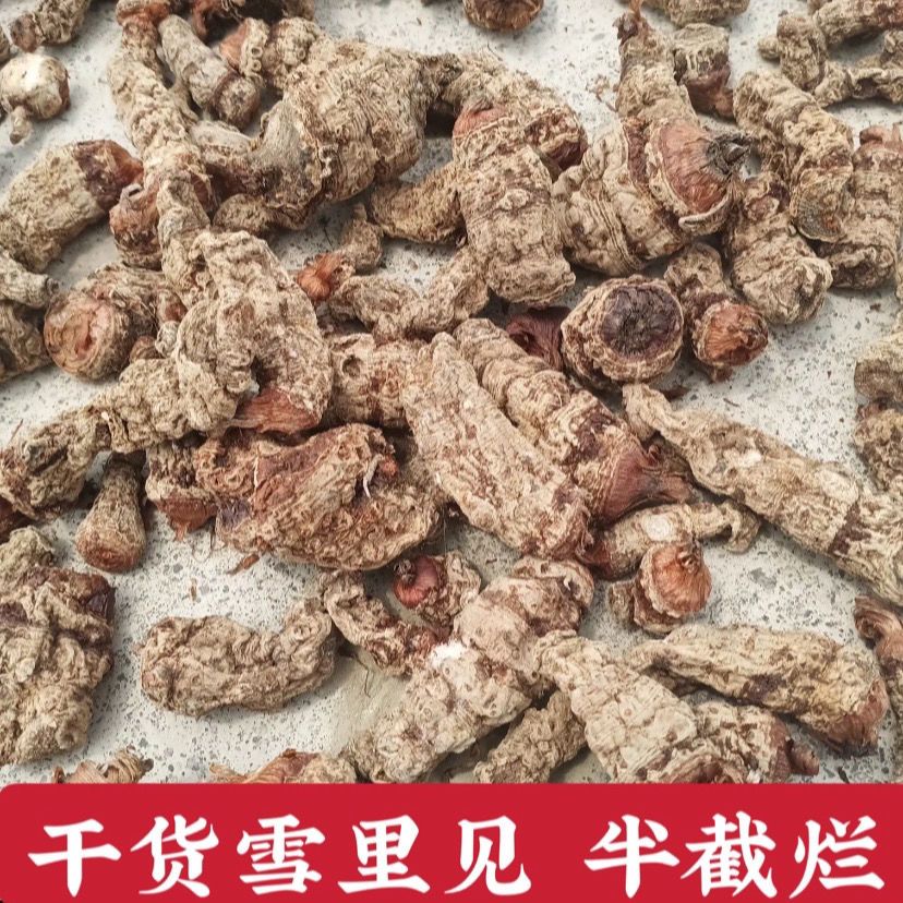云南雪里见，半载烂常年有货，粉质红心雪里见的假一赔