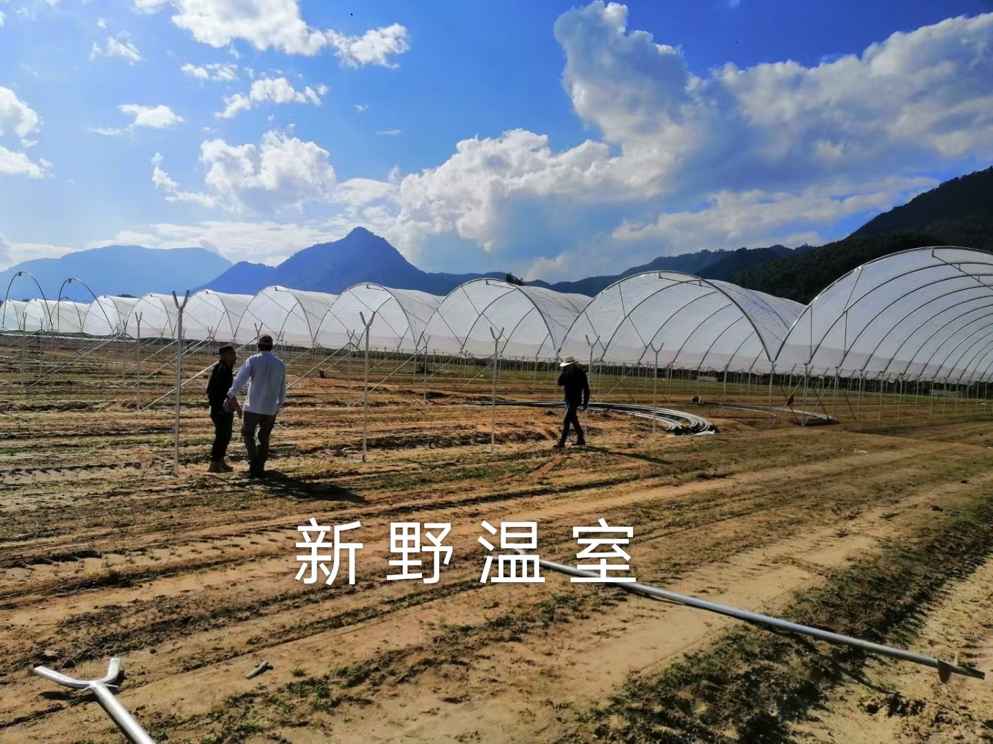 大棚骨架 供应云南大面积推广种植蓝莓棚 避雨棚整体骨架