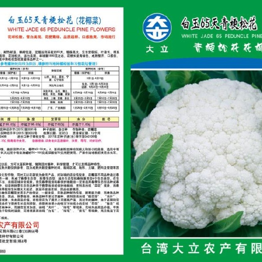 济南白玉65青梗菜种子 大田用种 ≥85%