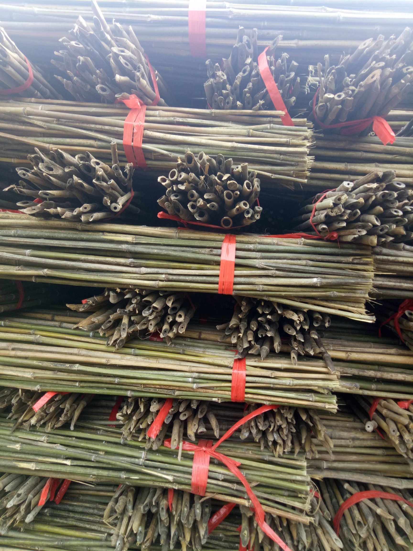 竹竿  菜架竹，2.3米长。