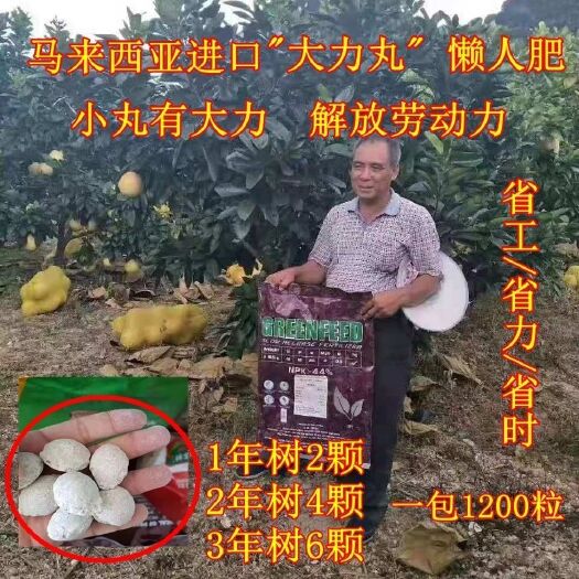 南宁 马来西亚大力丸 桉树肥果树肥蔬菜肥专用肥料追肥|叶面肥|冲施
