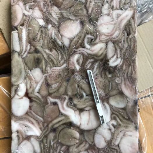 章鱼 
