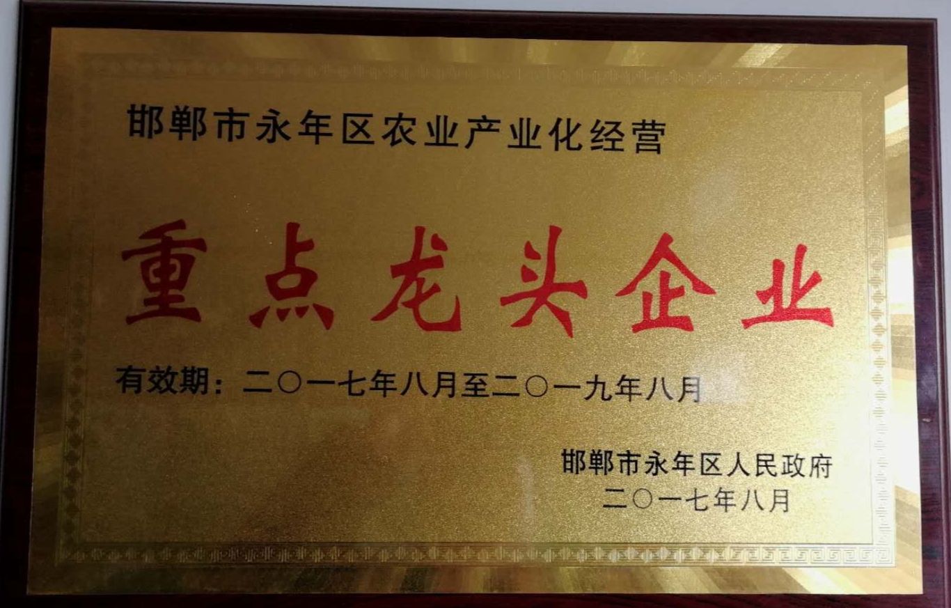 微生物菌剂 微生物菌肥 生物肥 菌剂  含10亿有效活菌