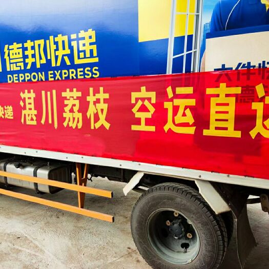 遂溪县白糖罂荔枝 广东省湛江市遂溪县 地头通货 