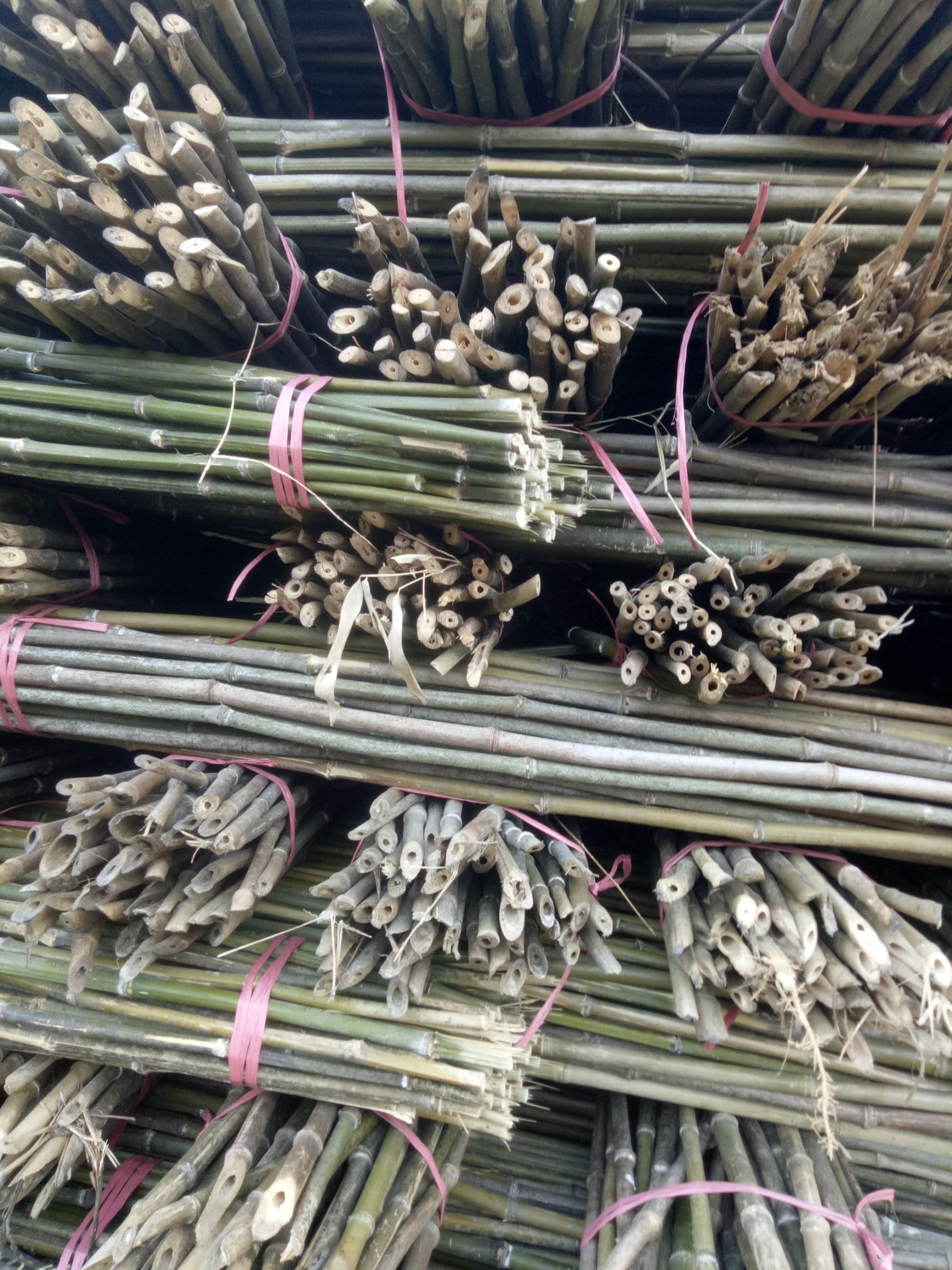 竹竿  菜架竹，2.3米长。