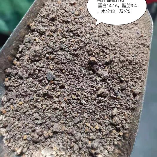 石家庄胚芽饼 新鲜 葡萄籽粕供应中 蛋白14-16，脂肪3-4，水分13