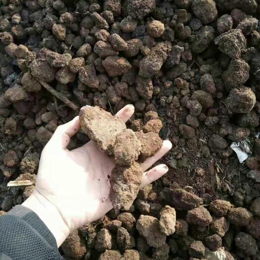 新沂市微生物有机肥  纯干猪粪 自然风干猪粪 蔬菜 果树肥料