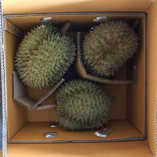 凭祥市 金针榴莲泰国榴莲一件代发
