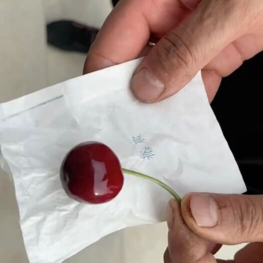 天水红灯樱桃 甘肃天水大樱桃