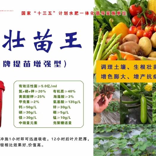 济宁微生物有机肥  壮苗王，调理土壤，生根壮苗，保花保果，增色膨大，增产抗病，