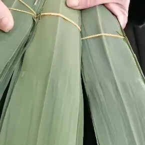 无为市粽叶 粽子叶芦苇叶一手货源原产地批发