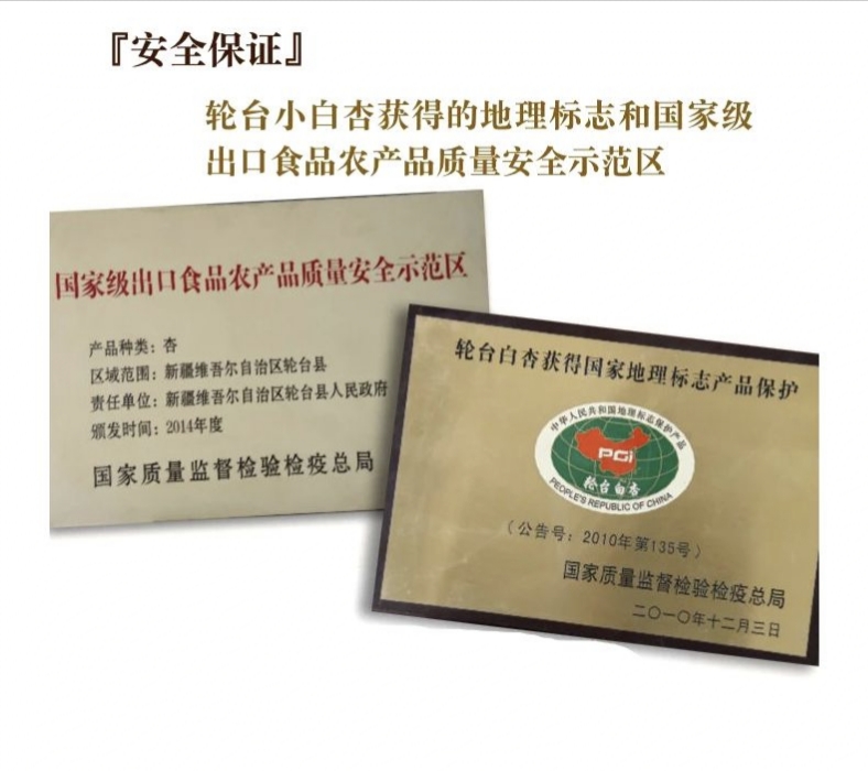 轮台小白杏现摘现发保证新鲜产品航空快运发货原产地