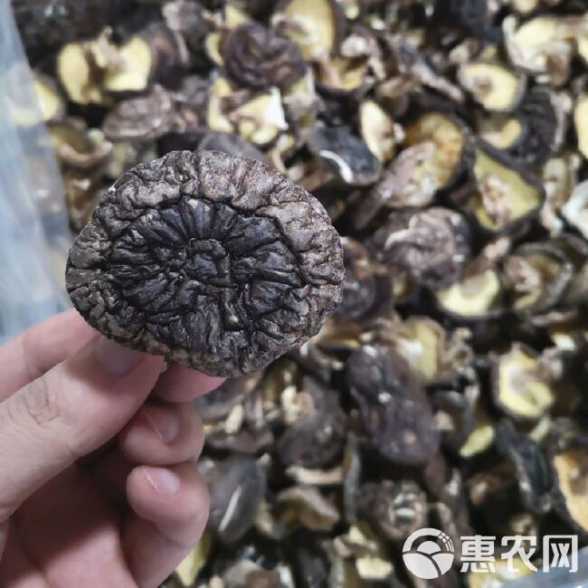 椴木菇  原木香菇原木菇干香菇高山椴木干香菇精选烤菇香味浓干
