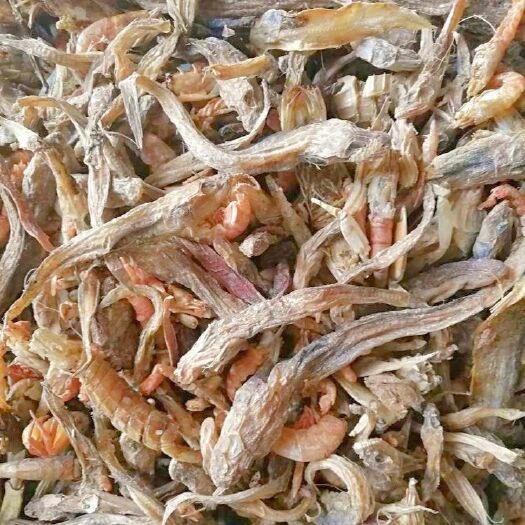 海兴县饲料鱼 鱼干，杂鱼，无盐，干度好