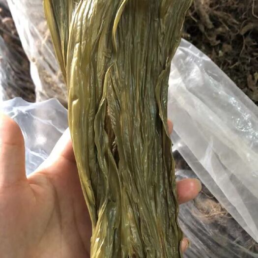清远黑豆腐竹