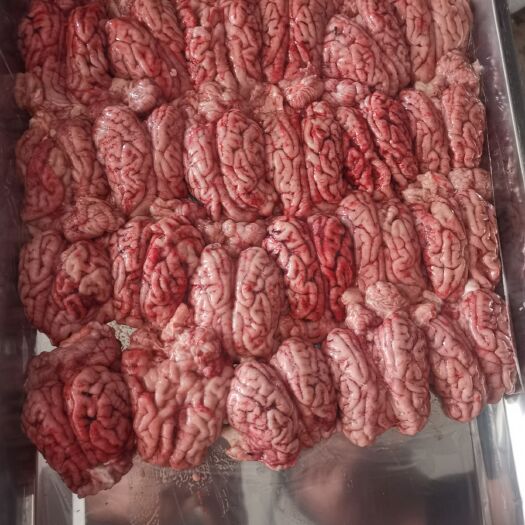 豬腦  母豬鮮凍腦花