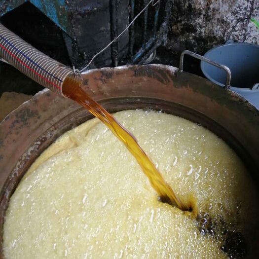 邛崃市四川成都本地菜籽油！香味纯！良心油！