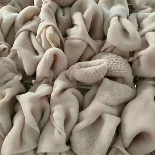 郑州 精品熟羊肚