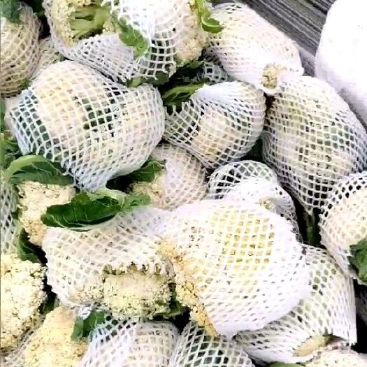 通许县白花菜花 花菜  蒜苔