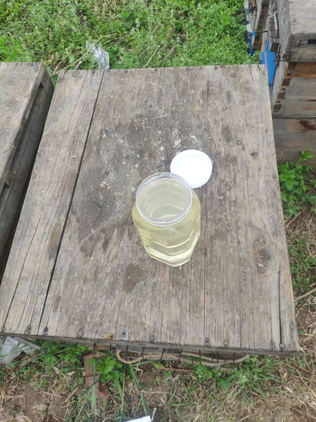 蜂蜜槐花蜜  自产自销无污染  优质蜂蜜