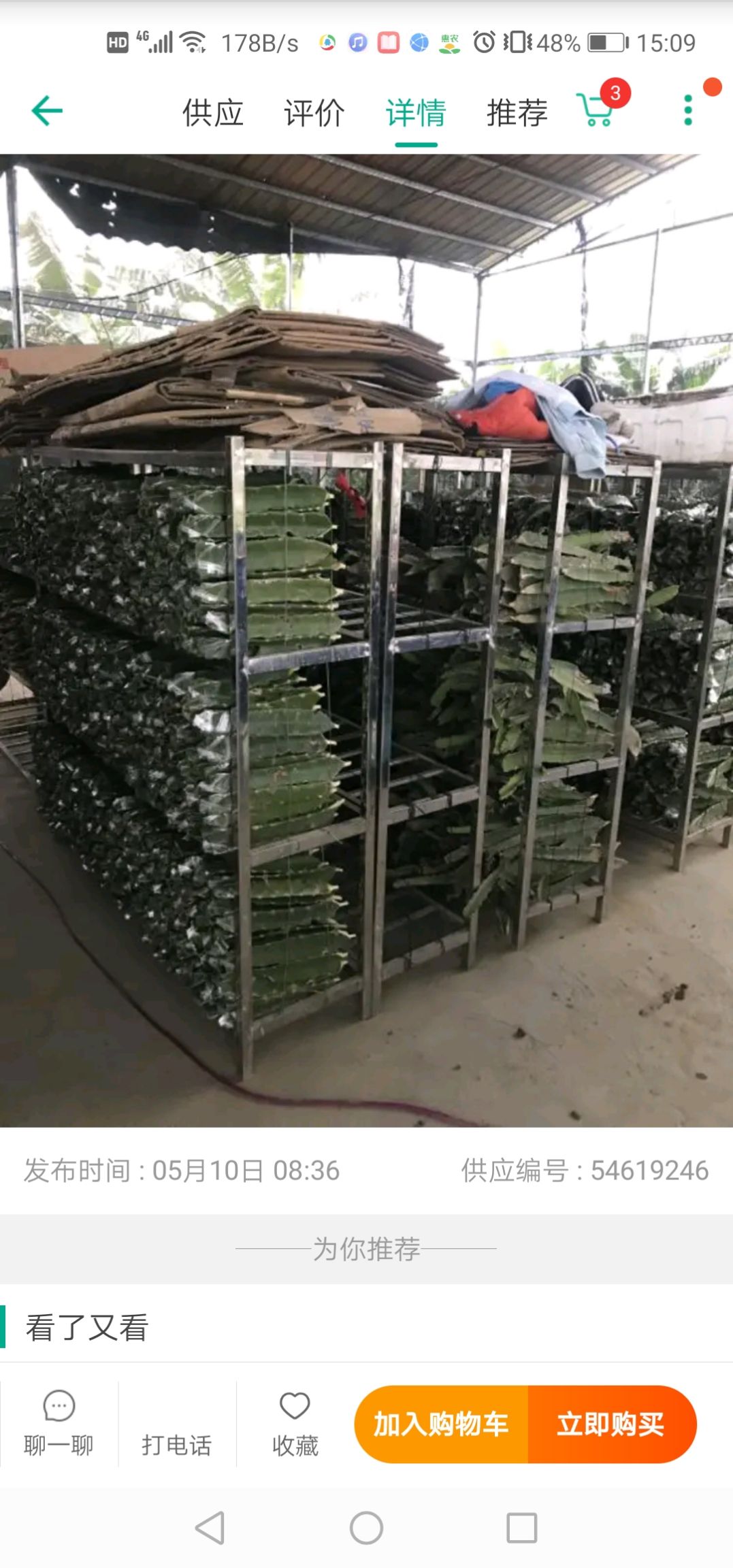 厄瓜多尔黄龙火龙果苗  提供嫁接服务   火龙果苗嫁接  燕窝果嫁接现场服务
