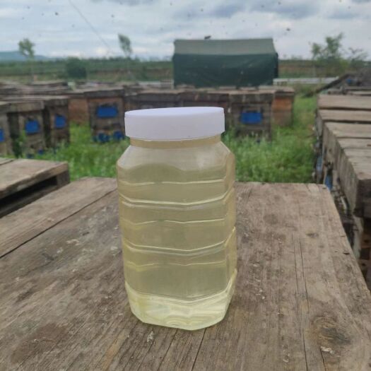 平南县蜂蜜槐花蜜    自产自销  优质蜂蜜