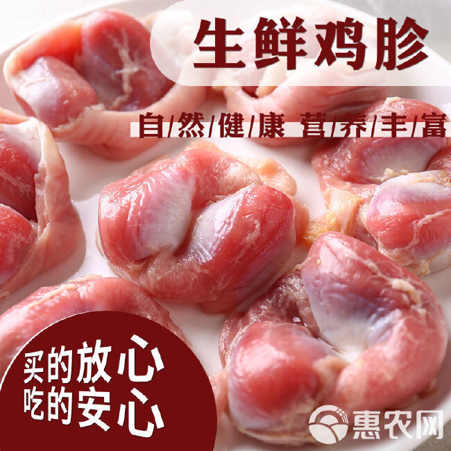 鸡胗新鲜鸡胗活体现杀鸡胃现发冷冻烧烤卤味火锅食材整箱批发