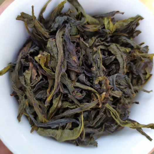 惠来县奇兰茶 黄金桂茶惠来土山茶潮汕高山茶黄旦茶福建乌龙茶散装茶叶