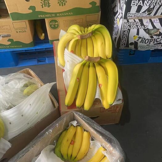 上海 香蕉