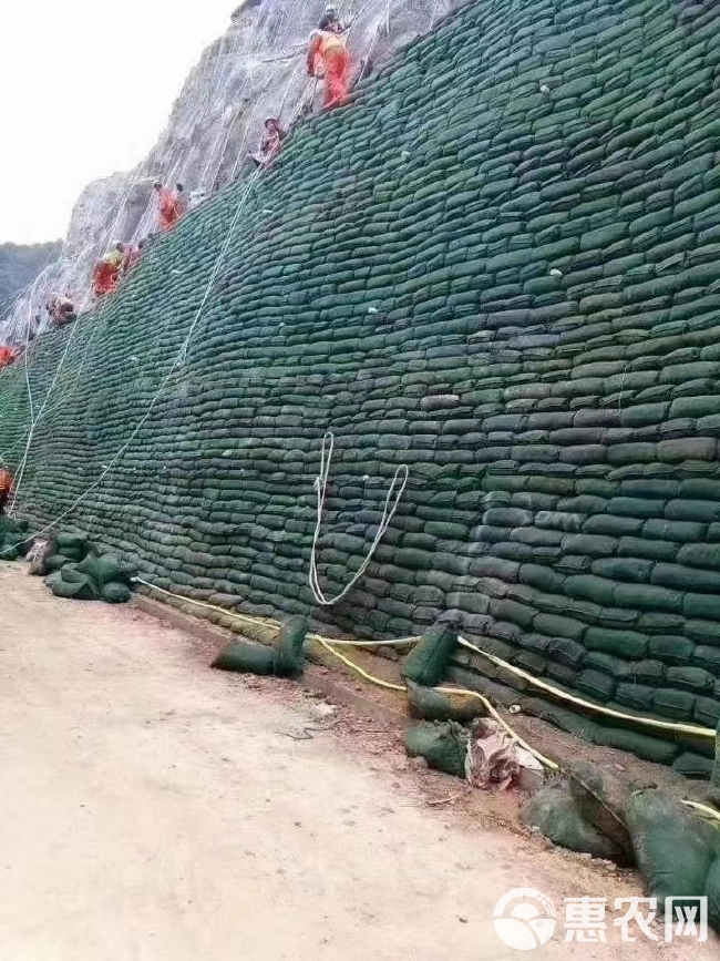 种植袋/植树袋/美植袋  防汛袋河道护坡园林绿化植生袋土工袋直供生产厂家绿色袋