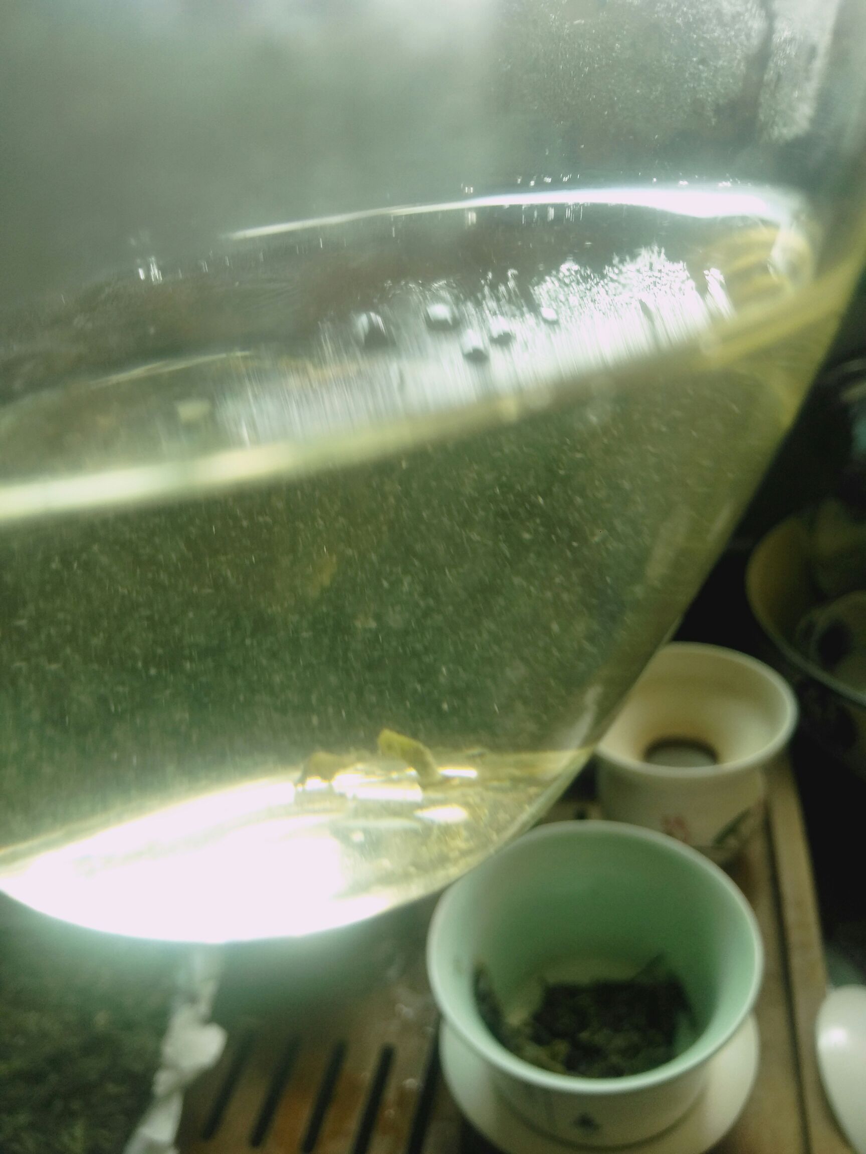2019年普洱生茶250克普洱茶砖