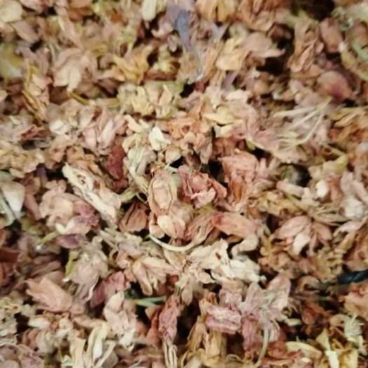 玉林茉莉花，新鲜干净，全干货，产地直销
