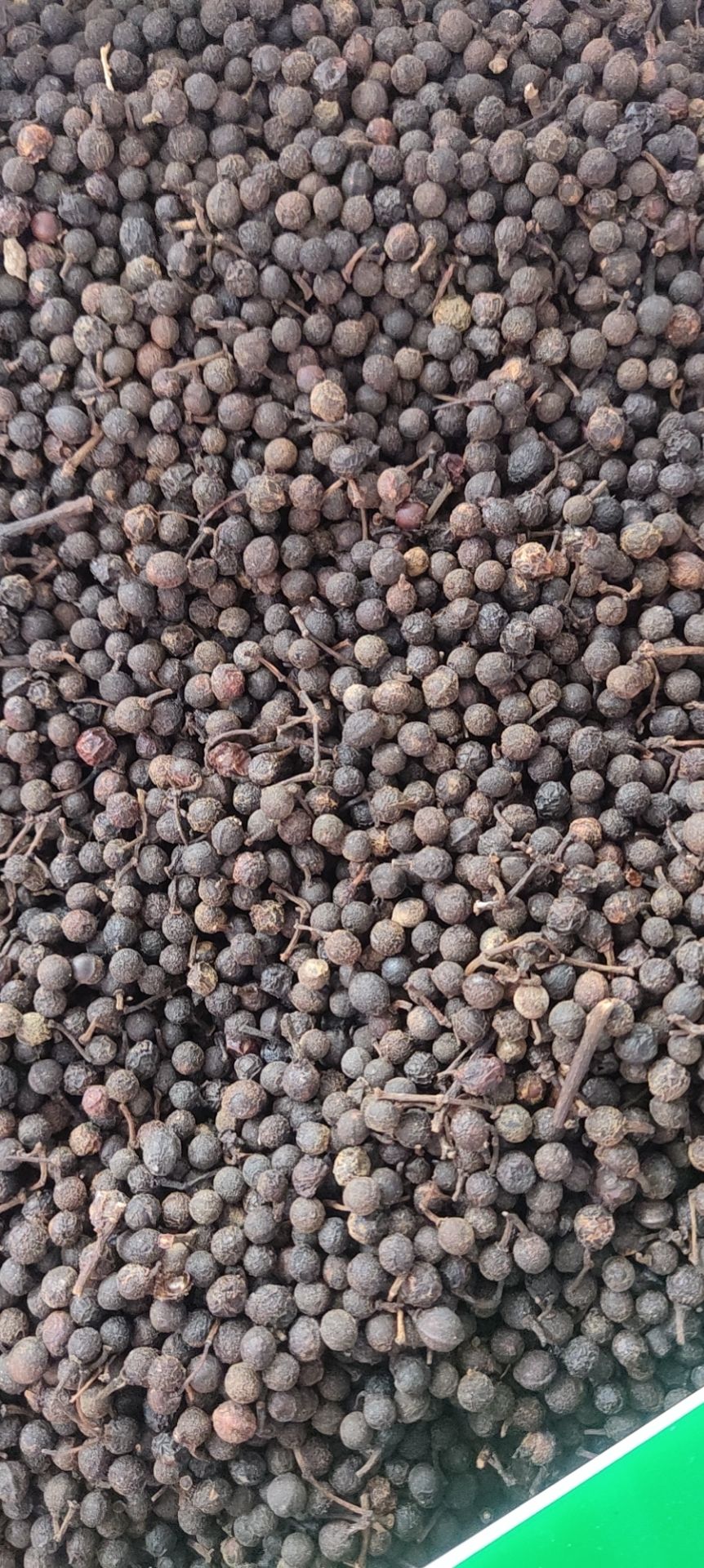 货广西木姜子山胡椒山苍子木江子 干货酸汤鱼火锅料