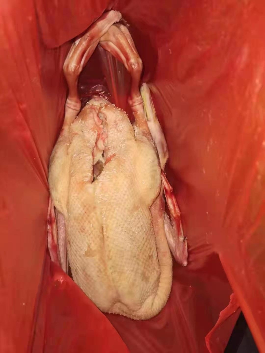 鹅肉  养鹅厂，一年的下蛋大鹅，现因转产，处理宰杀干净的整只冻大鹅