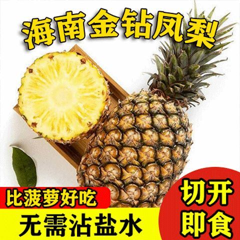 平原县海南金钻凤梨1.8-2.5