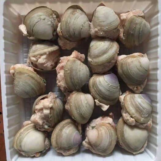 苏州蛤壳  酒店特色用文蛤塞肉