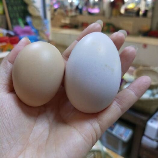 安徽皖南土鸡蛋，双黄蛋，新鲜全国可发货