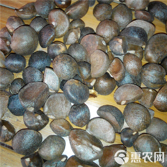 江西赣南高山老茶树无污染高品质山茶油木子油