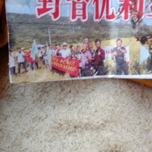 丰城市野香优莉莉丝大米 农家自产大米野香优莉莉丝