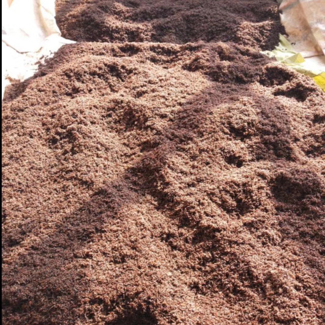 蚂蚁  内蒙古   红 一手货源