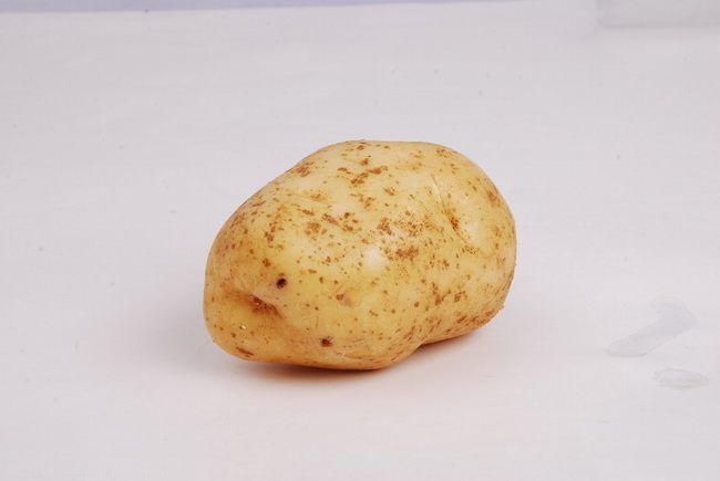 荷兰14土豆  土豆