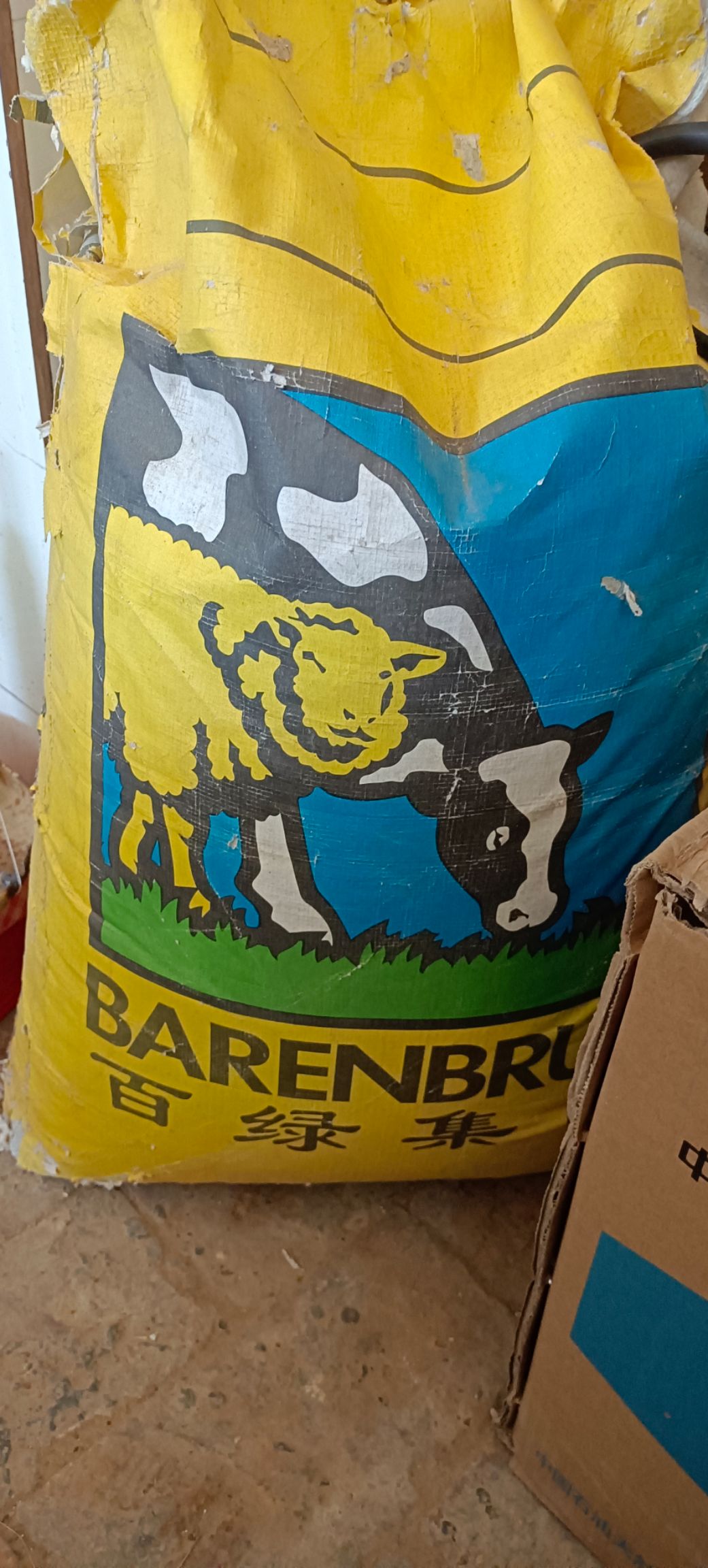 甜高粱，牧草，饲料，可多次收割，