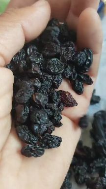 小颗粒黑加仑葡萄干