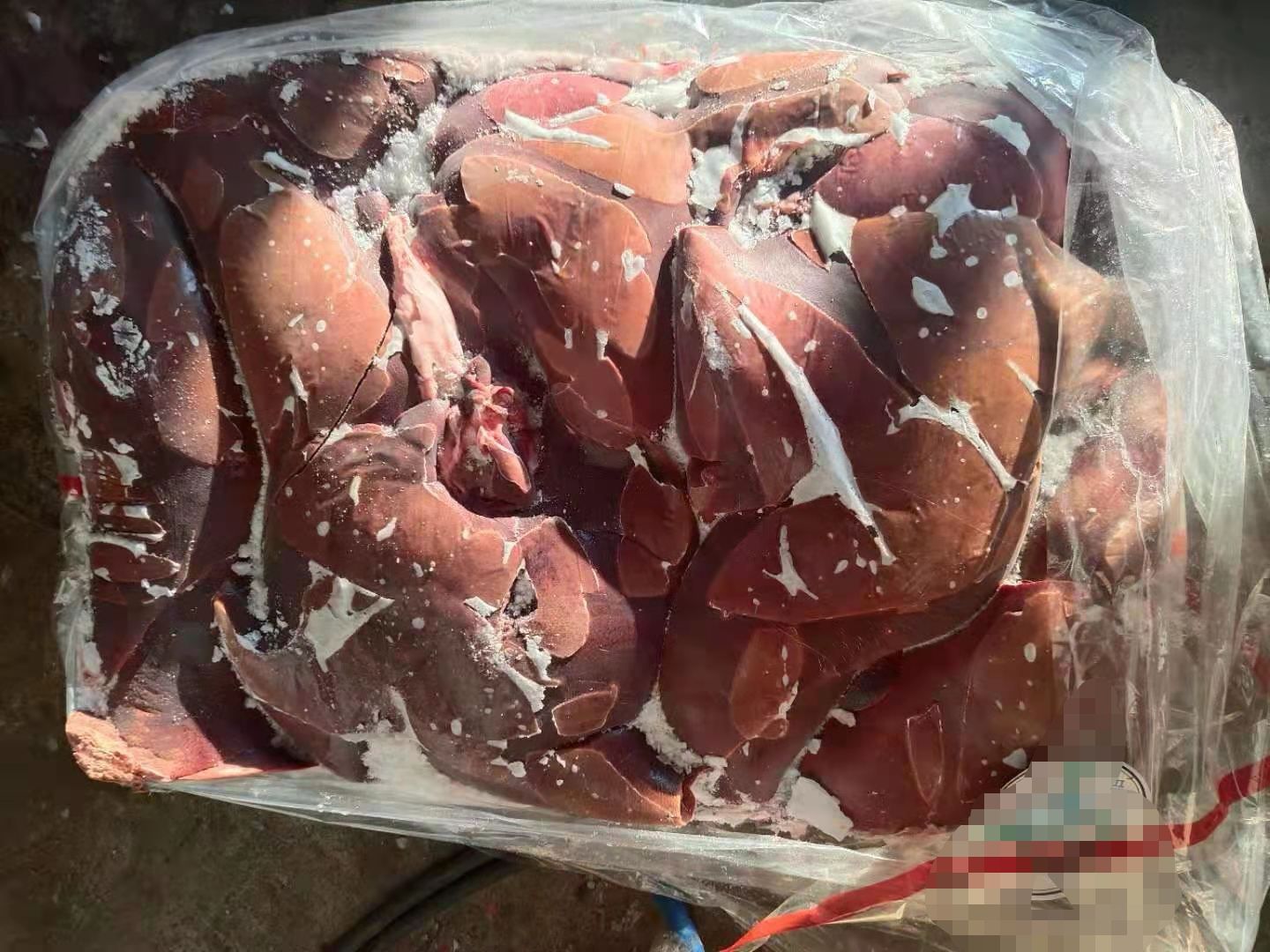 饲料猪肝
