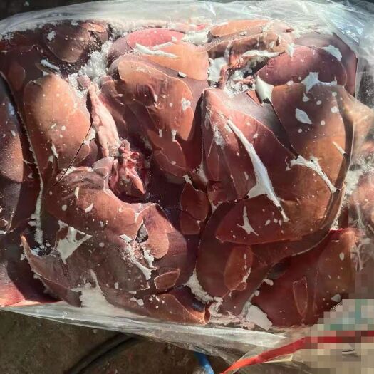 临沂饲料猪肝