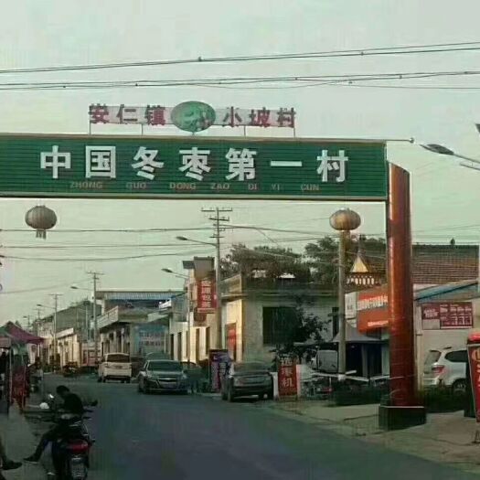 大荔县冬枣  陕西大荔新鲜脆甜。微商，电商，商超一件代发，坏果包赔。