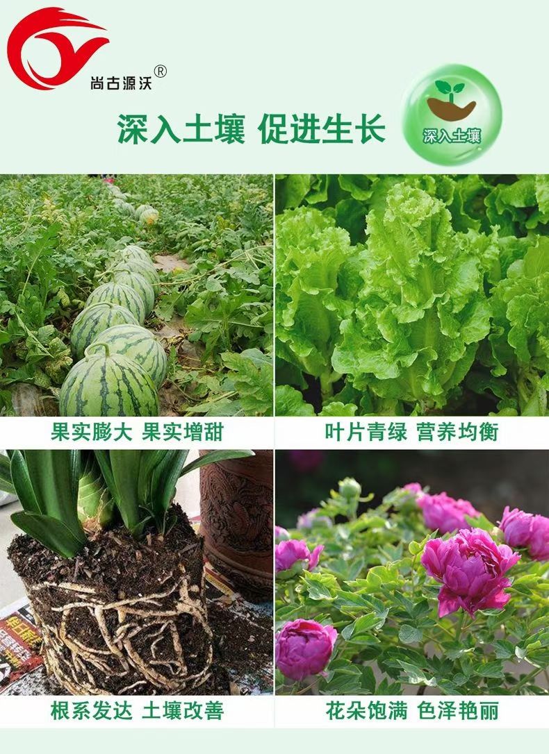 【包邮】黄腐酸钾鱼蛋白打破休眠促芽生根绿叶 改土肥田强力生根