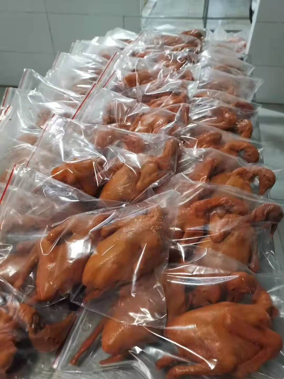 卤鸽 3-6个月 2021-05-21 - 2021-11-21